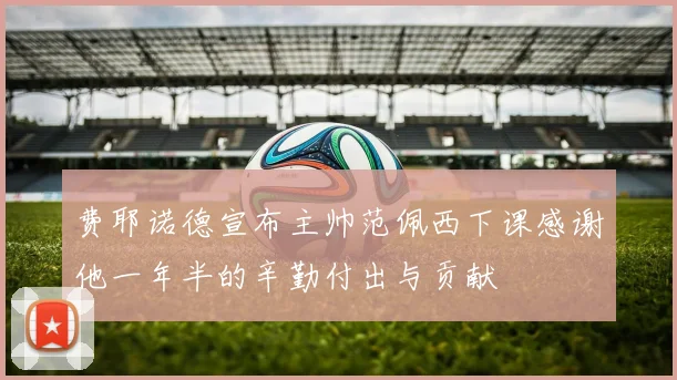 费耶诺德宣布主帅范佩西下课感谢他一年半的辛勤付出与贡献