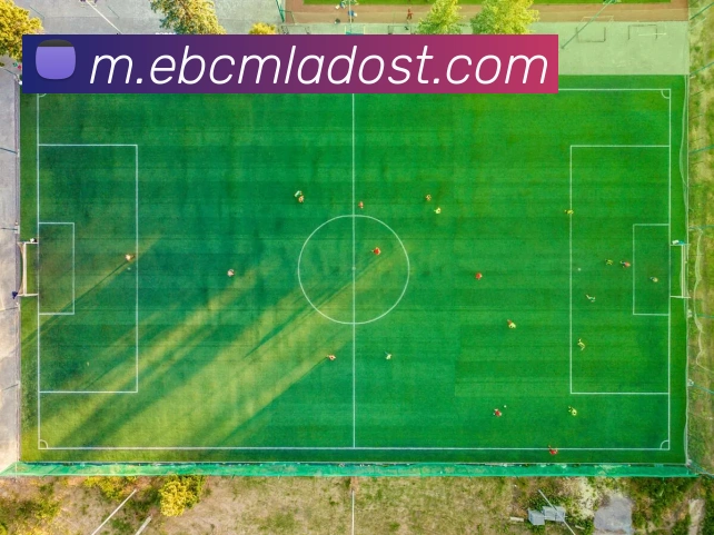 奖项证书
